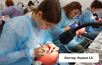 Терапия - Фантомный симуляционный тренинг. Прямые реставрации.