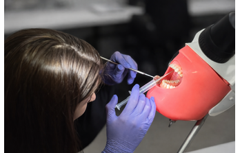 Хірургія - Знеболювання у практиці лікаря стоматолога. Практичний майстер-клас